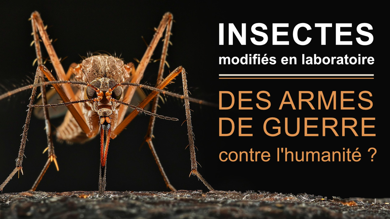 Insectes modifiés en laboratoire : des armes de guerre contre l'humanité ?