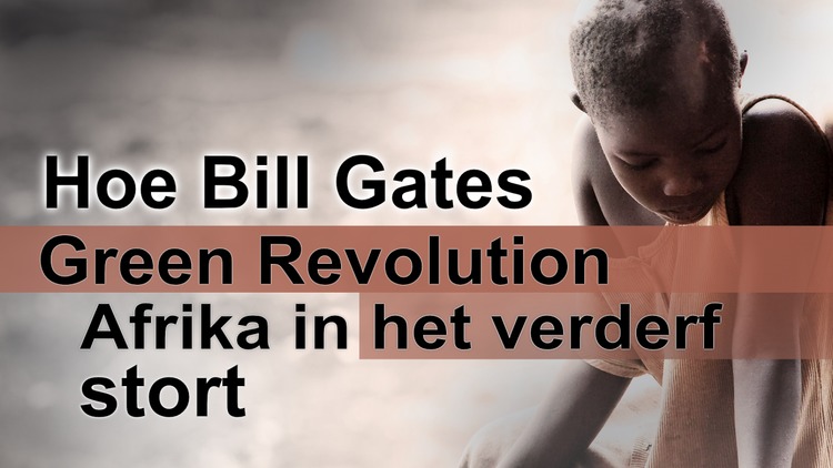 Hoe Bill Gates' Groene Revolutie Afrika In Het Verderf Stort | #Afrika ...