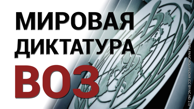 Пандемическое соглашение 2024.