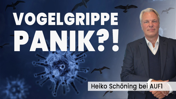 Neuwahlen und Vogelgrippe-Panik?! Einschätzung von Heiko Schöning bei AUF1