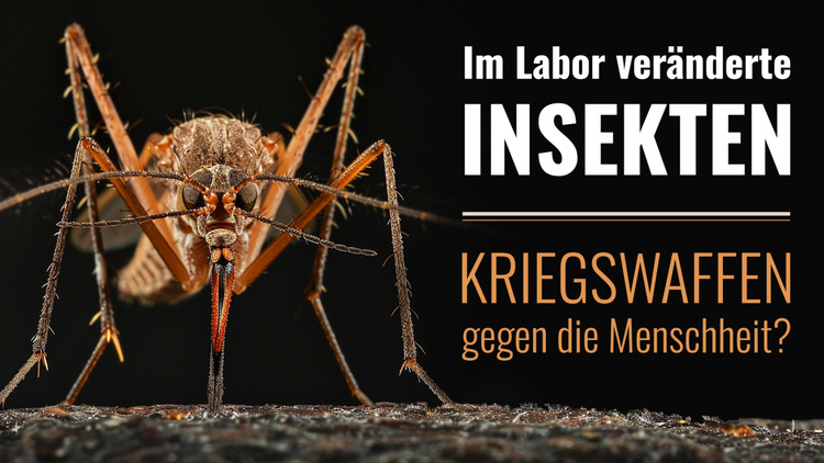 ⁣Im Labor veränderte Insekten – Kriegswaffen gegen die Menschheit?