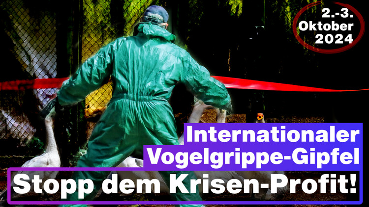 ⁣Internationaler Vogelgrippe-Gipfel (2.-3. Oktober 2024) Stopp dem Krisen-Profit!